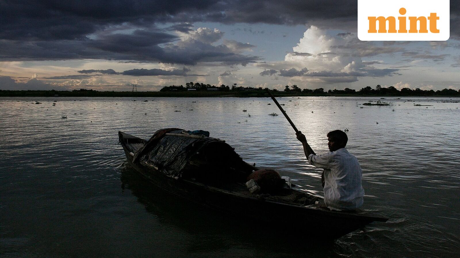 Monsoon advances into more states; IMD warns of heavy rain in the south