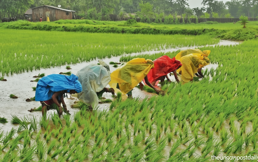 Farms to spike diesel, power demand for irrigation as monsoon may falter
