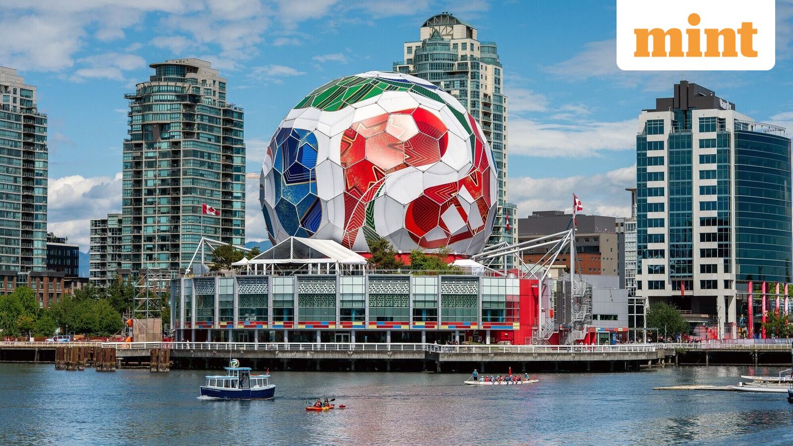 FIFA 2026 mania? To watch the World Cup final, this fan gave up a Europe trip, luxury cruise and 4 months’ salary