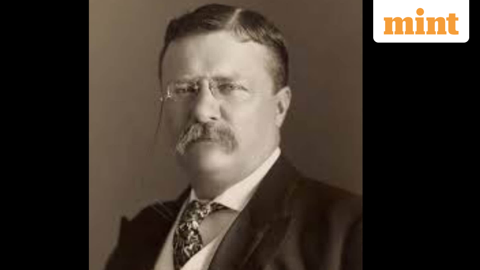 Quote of the day by Theodore Roosevelt: ‘Do what you can, with what you have, where you are’