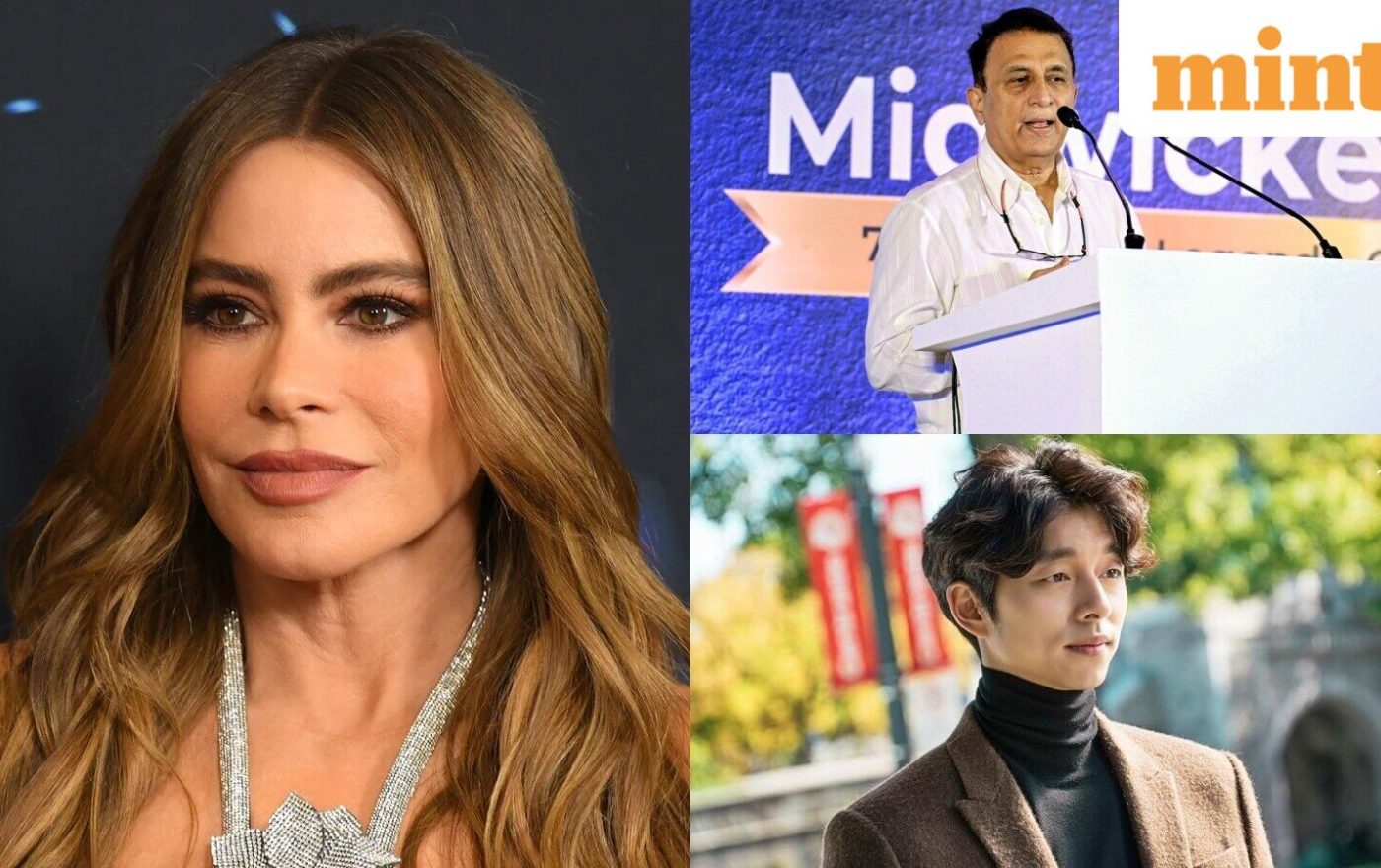 Born on 10 July? You share your birthday with Sofía Vergara, Sunil Gavaskar, Gong Yoo and more