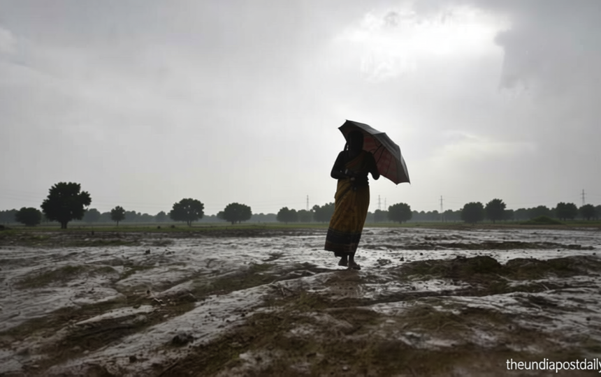WMO warns strong El Niño could push global temperatures higher – what will be the impact?