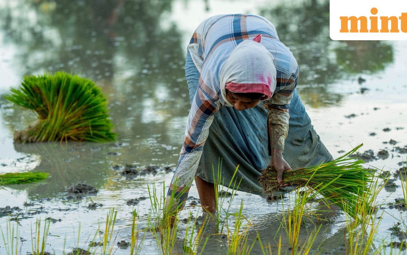 Patchy monsoon could lift inflation, hurt rural economy: S&P
