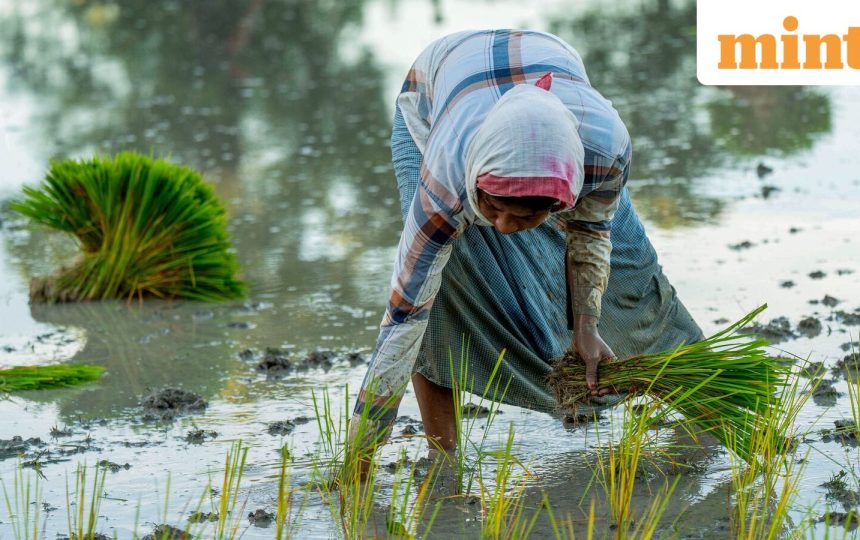 Patchy monsoon could lift inflation, hurt rural economy: S&P