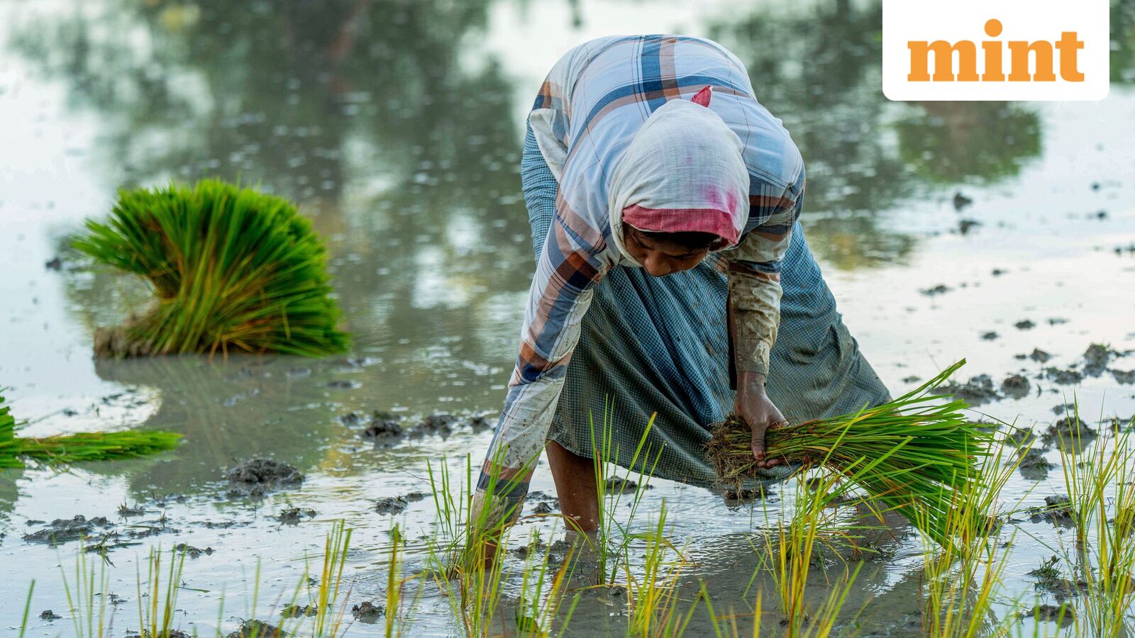 Patchy monsoon could lift inflation, hurt rural economy: S&P