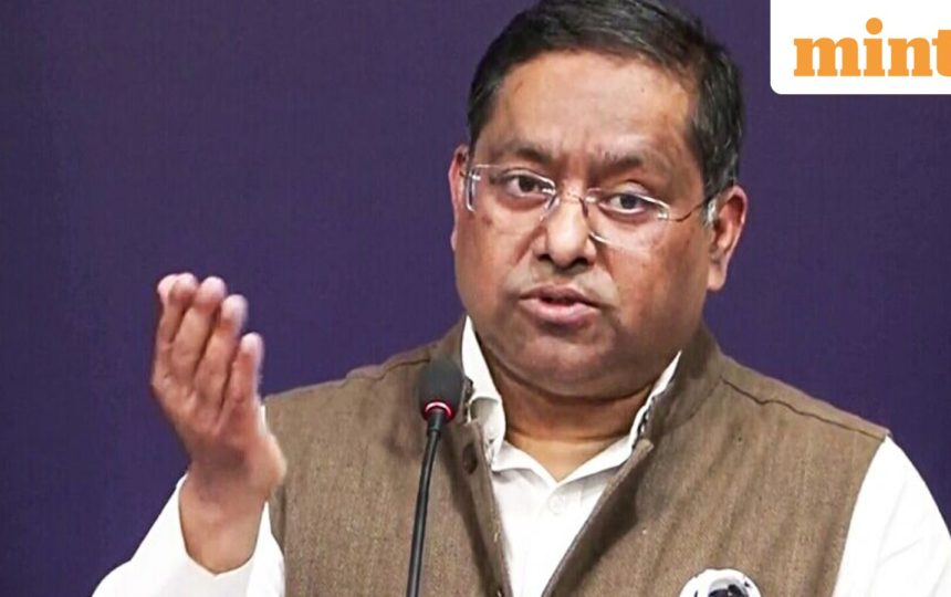 ‘Passport issued to regulate departure of Indian citizens’: MEA clarifies amid citizenship debate