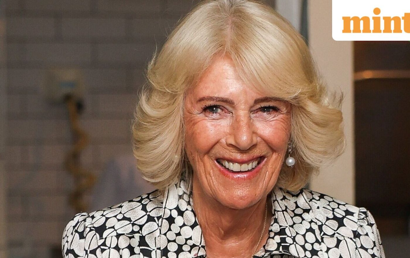 Born on 17 July? You share your birthday with Queen Camilla, David Hasselhoff, Luke Bryan