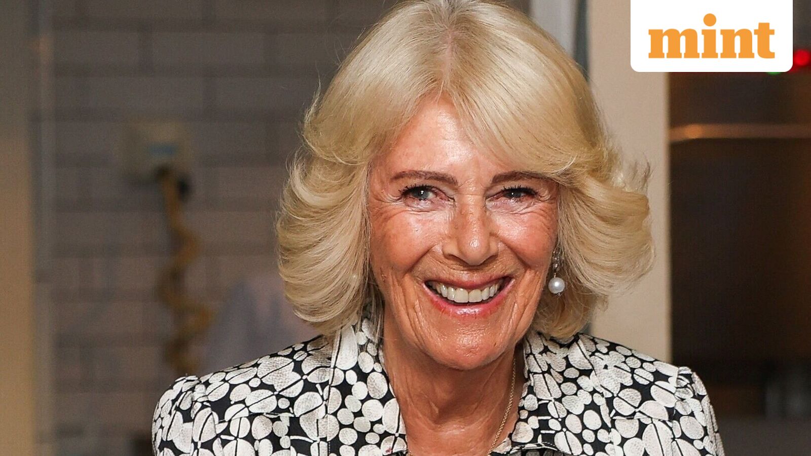 Born on 17 July? You share your birthday with Queen Camilla, David Hasselhoff, Luke Bryan
