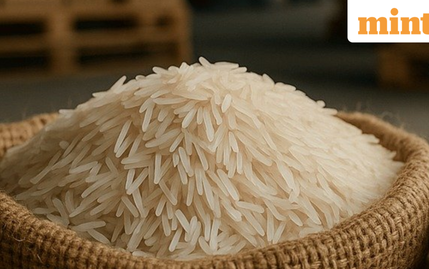 India basmati acreage seen rising as strong prices offset monsoon risks