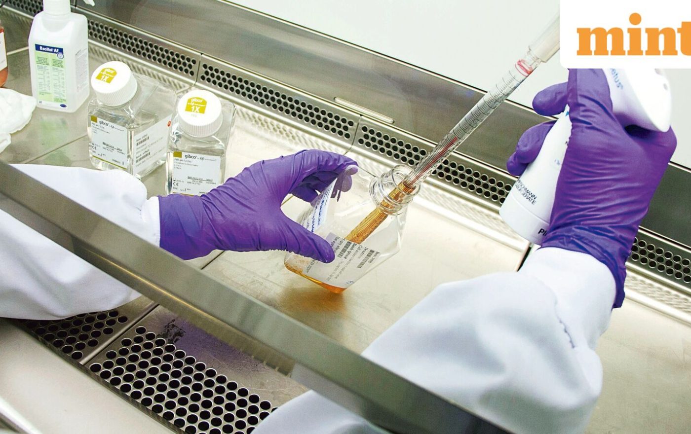 India approves first dengue vaccine amid rising disease burden