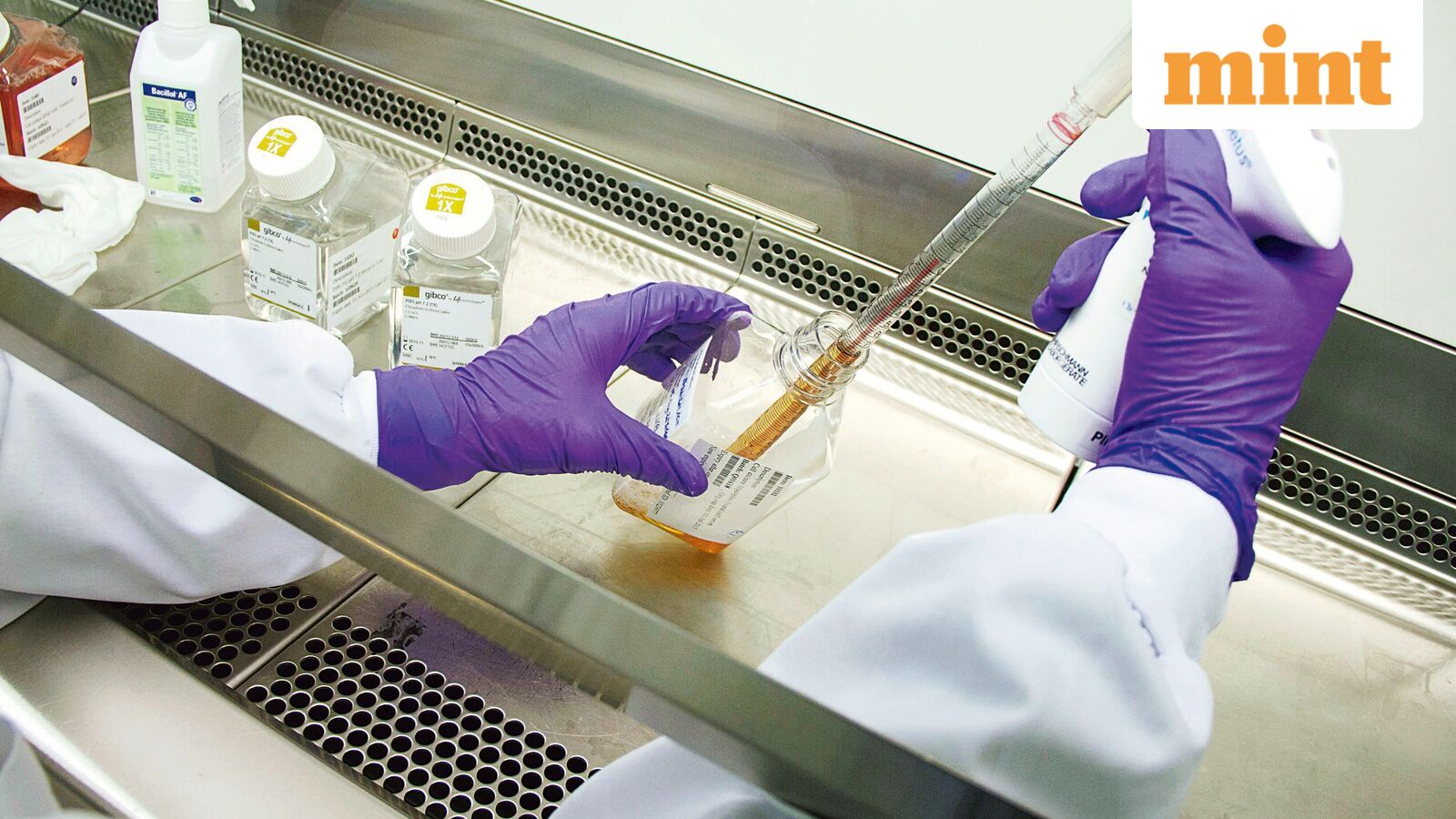 India approves first dengue vaccine amid rising disease burden