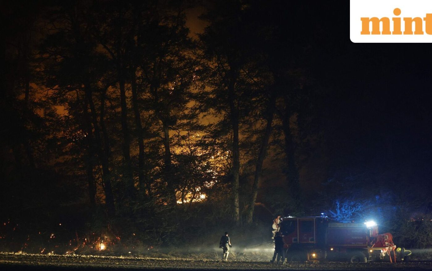 France inferno: Water bombers deployed as raging wildfire threatens historic Fontainebleau forest near Paris