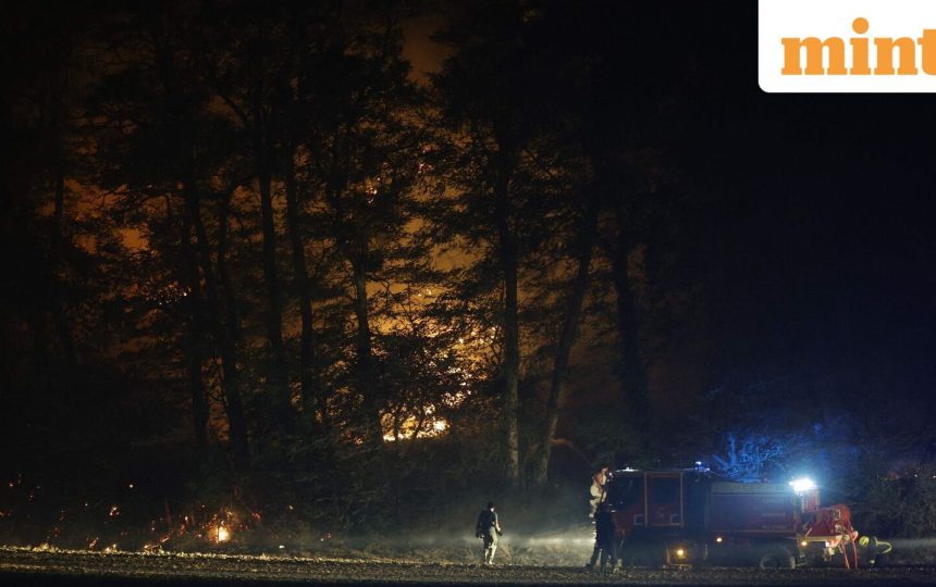 France inferno: Water bombers deployed as raging wildfire threatens historic Fontainebleau forest near Paris