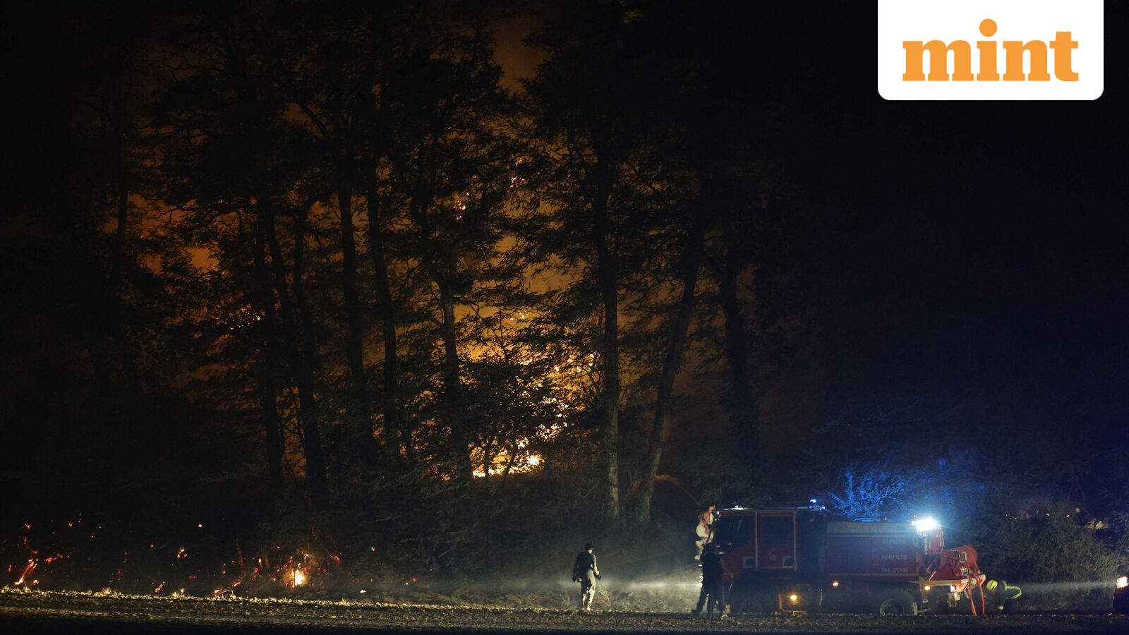 France inferno: Water bombers deployed as raging wildfire threatens historic Fontainebleau forest near Paris