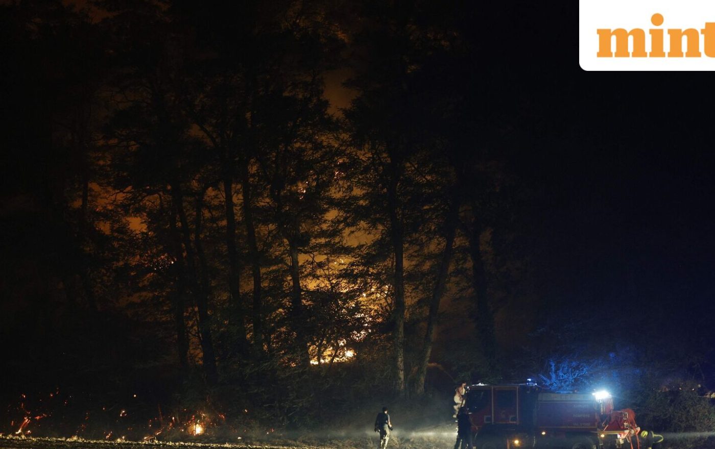 Wildfire erupts near Clayton in California, spreads to 125 acres; evacuation warnings issued: Details