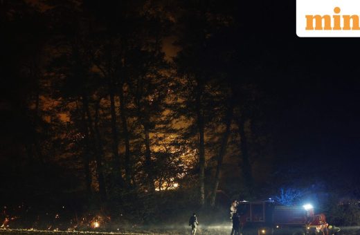 Wildfire erupts near Clayton in California, spreads to 125 acres; evacuation warnings issued: Details
