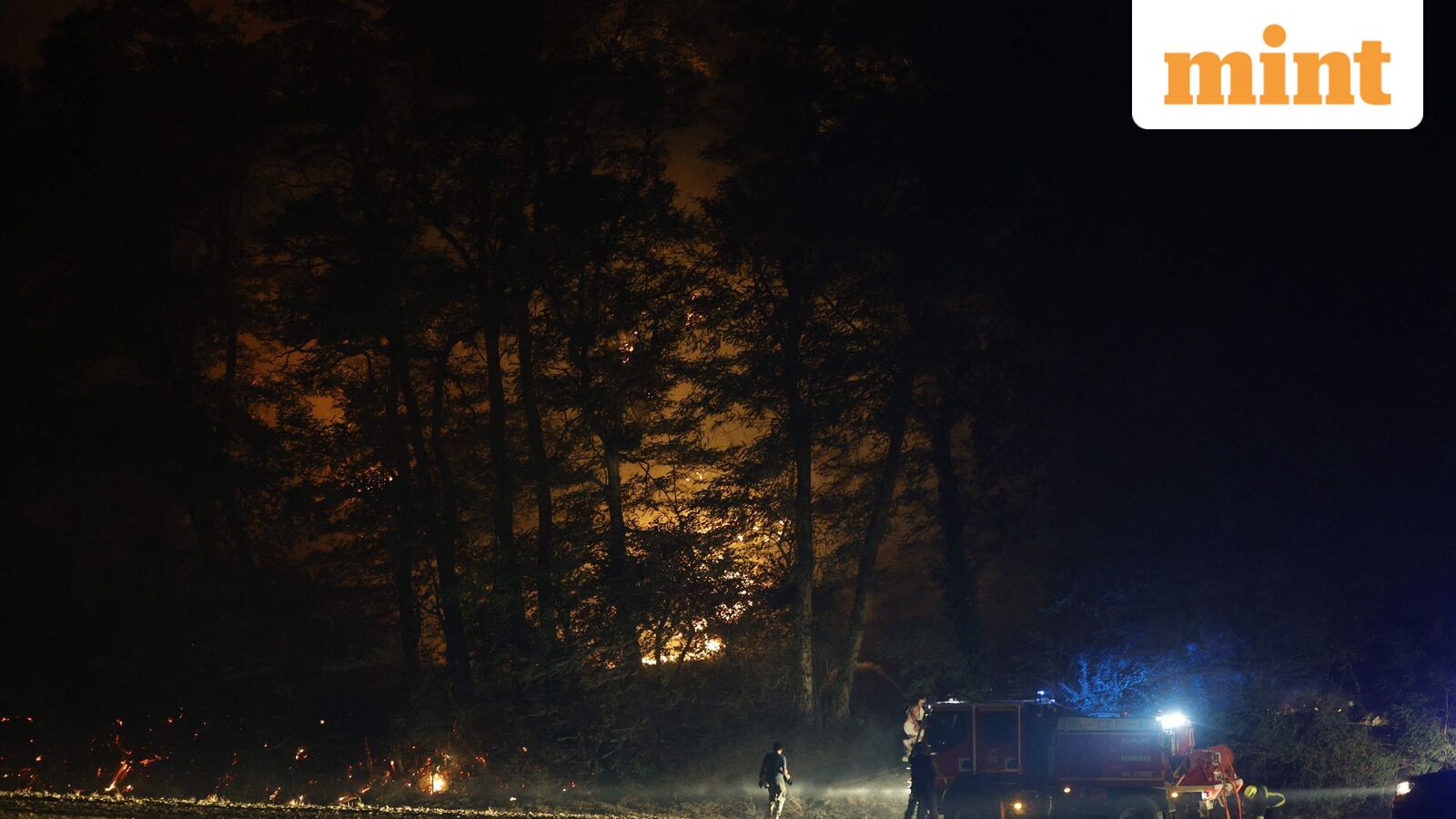 Wildfire erupts near Clayton in California, spreads to 125 acres; evacuation warnings issued: Details
