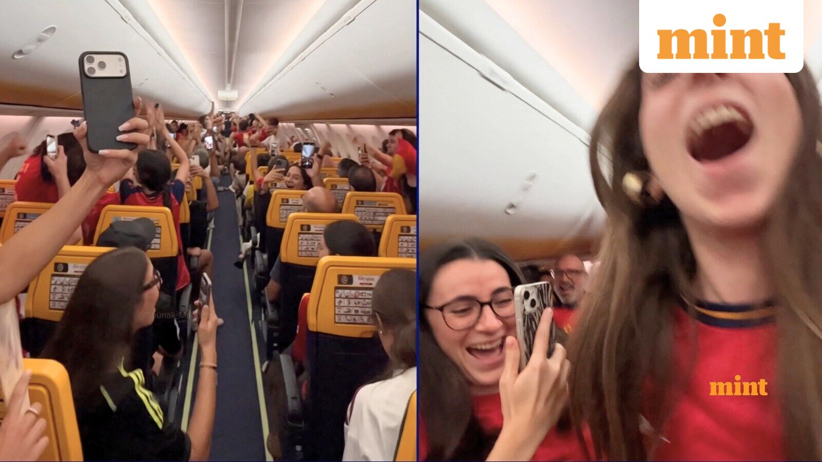 Viral video: 30,000 feet above ground, Spanish fans learn about World Cup win, ‘If your Spain jersey only has one star’