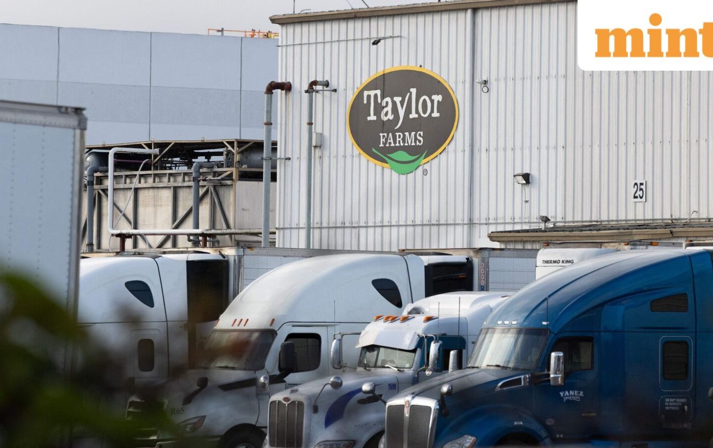 Cyclosporiasis outbreak in US: Supplier Taylor Farms recalls lettuce sourced from central Mexico as thousands fall ill