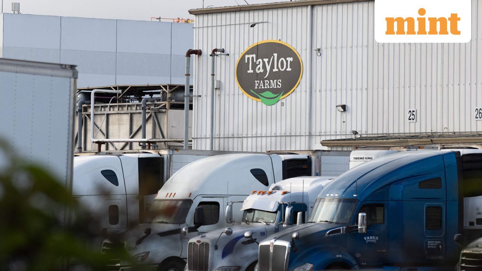 Cyclosporiasis outbreak in US: Supplier Taylor Farms recalls lettuce sourced from central Mexico as thousands fall ill