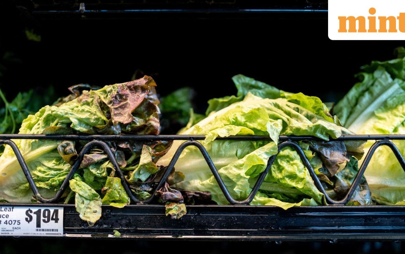 Taylor Farms lettuce supplied to Taco Bell emerges as potential source of US cyclosporiasis outbreak: Report
