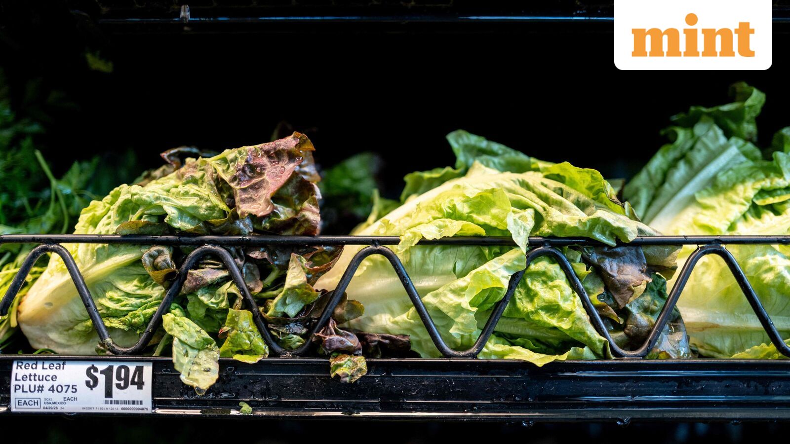 Taylor Farms lettuce supplied to Taco Bell emerges as potential source of US cyclosporiasis outbreak: Report