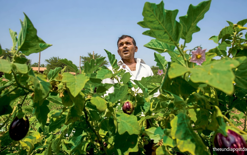 El Niño concerns: Finance ministry asks insurers to fast-track PMFBY enrolment