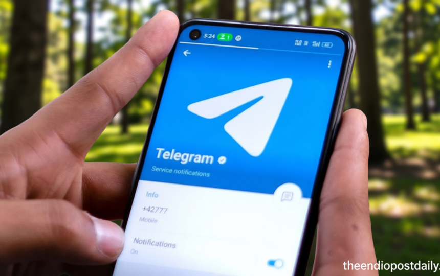 Telegram, Signal asked by IT Ministry to explain anti-fraud measures in username features after WhatsApp notice
