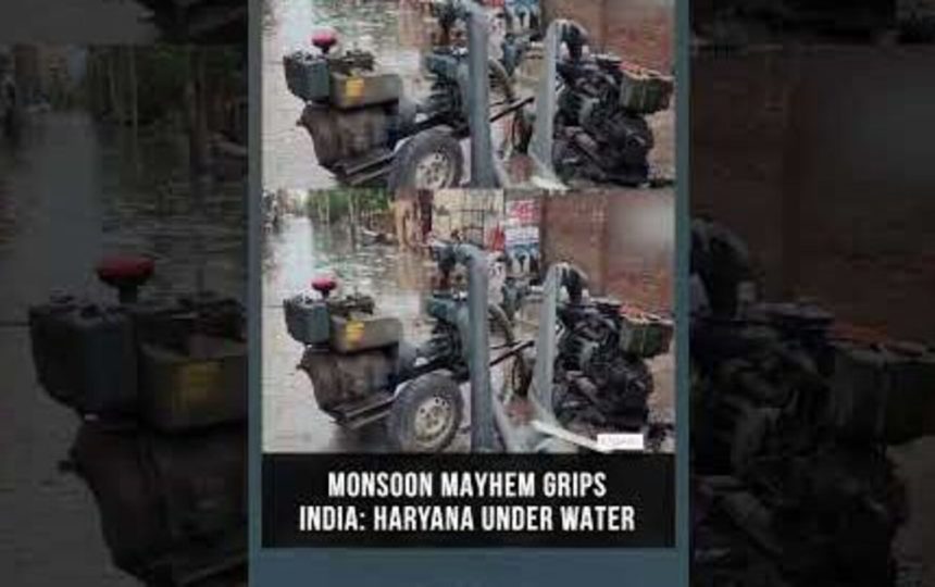 Weather Report: Monsoon fury batters several states, over 10 dead in rain-related incidents
