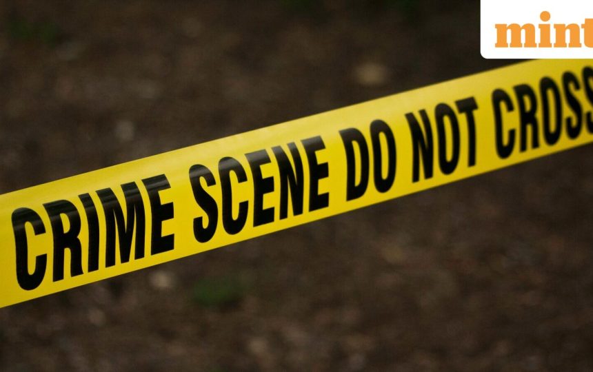 AI engineer stabs girlfriend to death at Gurugram PG days after moving in together, kills self
