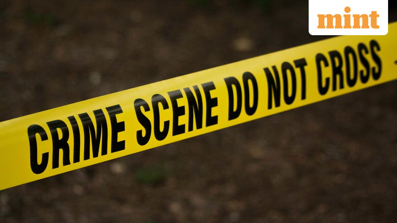 AI engineer stabs girlfriend to death at Gurugram PG days after moving in together, kills self