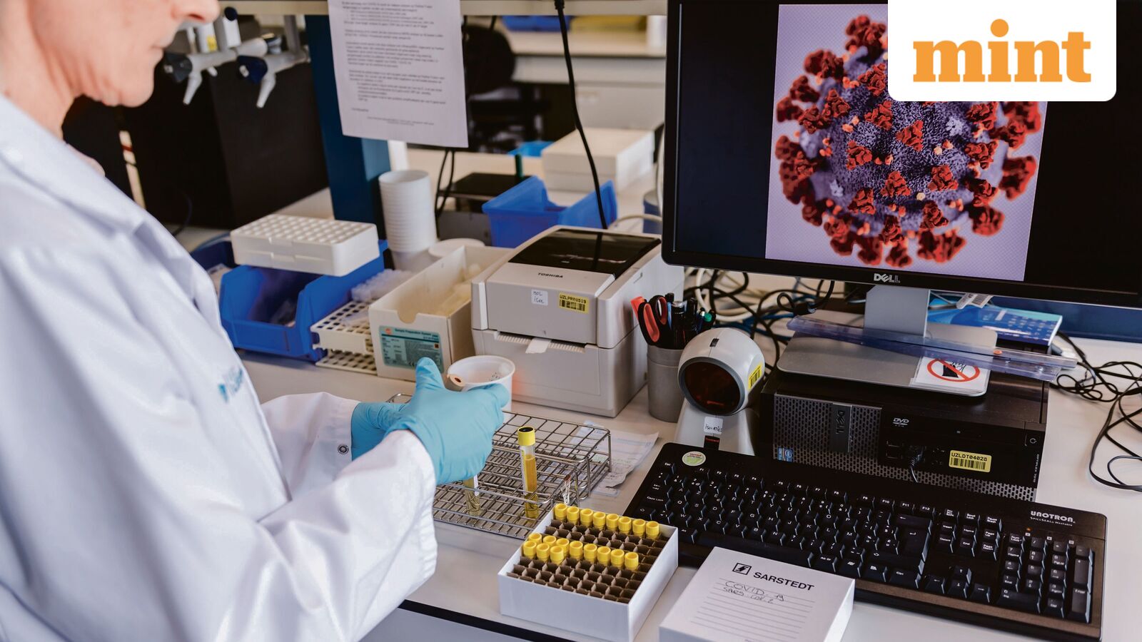 Deadly fungus Candida auris cases detected in 27 US states — Who is at risk, symptoms, treatment