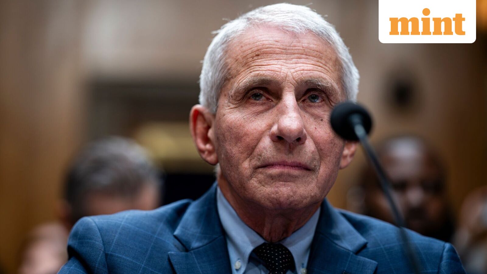 US Senate panel votes to hold Anthony Fauci in contempt of Congress over Covid hearing testimony