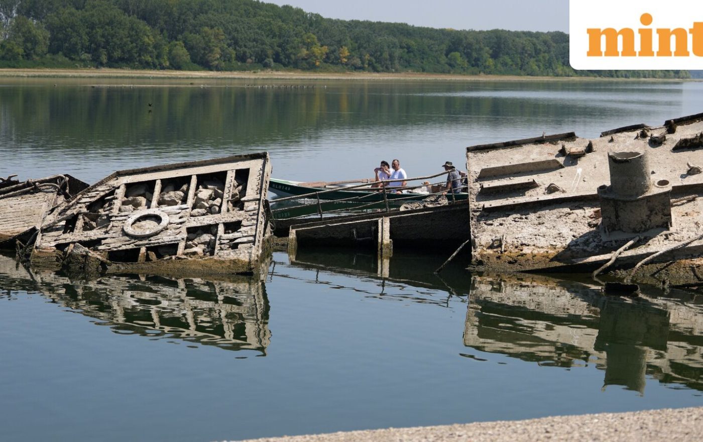 Nazi warships, bones of woolly mammoth: Danube reveals historic relics as water level sees record-breaking drop