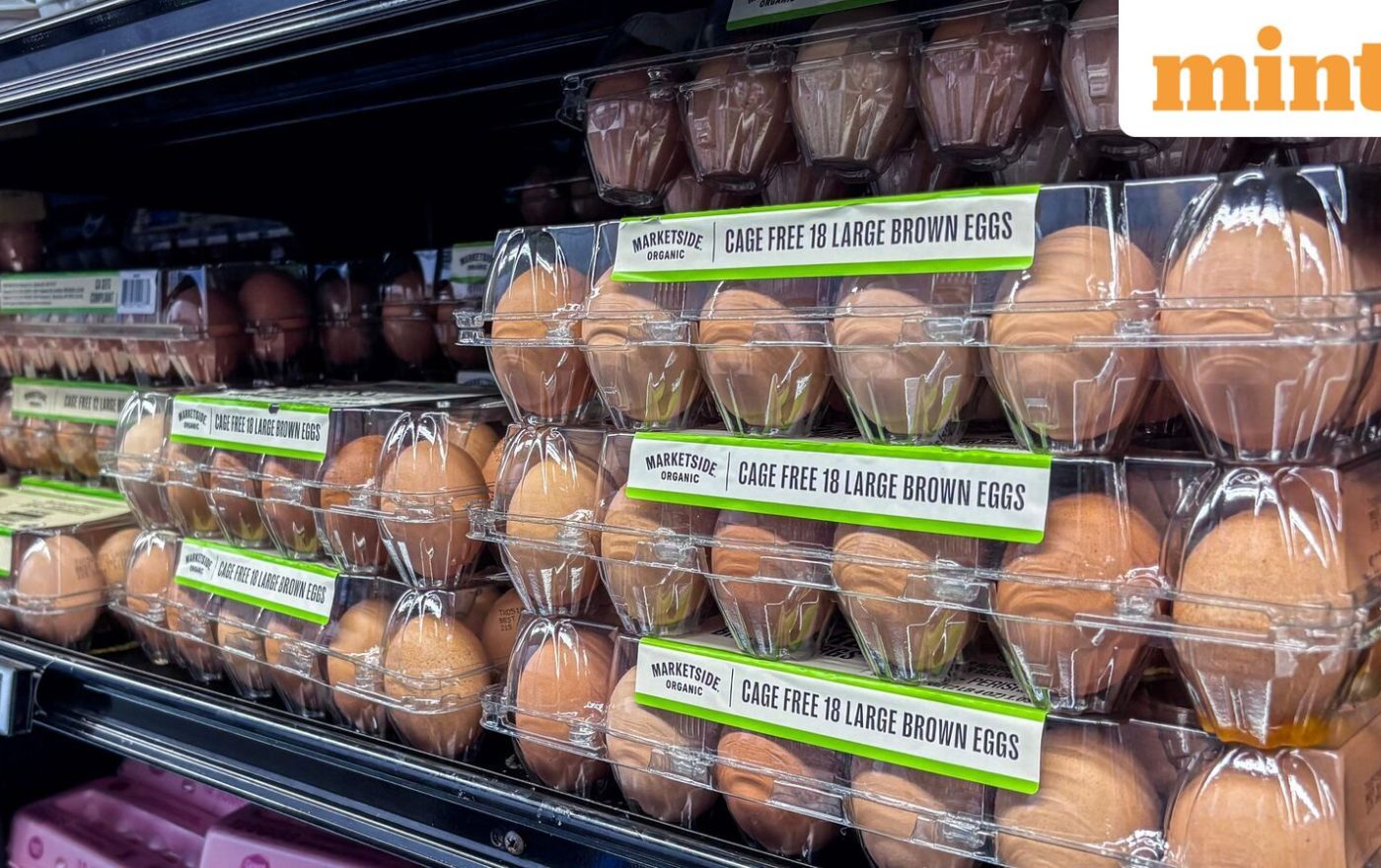 Over 1 million eggs recalled in US over possible contamination – check your fridge