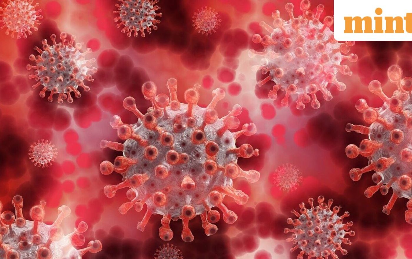 Chandipura virus outbreak: Centre deploys national response team to Gujarat and Rajasthan