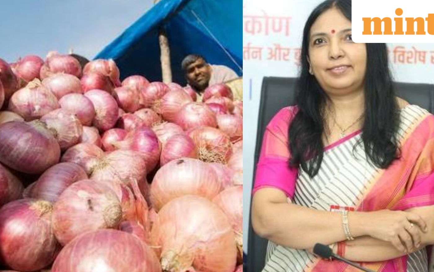 Onion prices to reduce soon? Govt sells 4,000 tonnes of buffer stock across 17 cities in 10 days