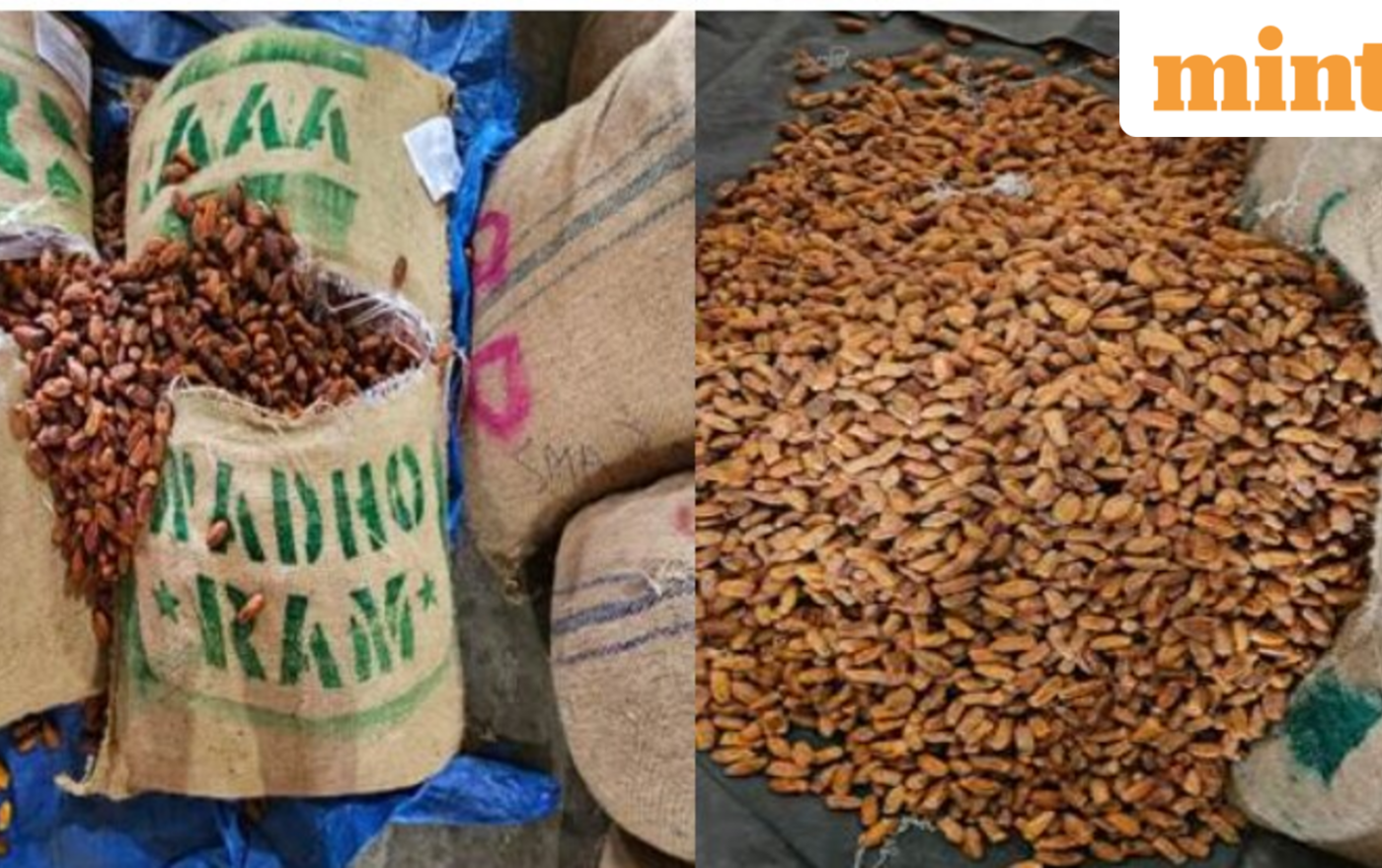 Operation Deep Manifest: DRI seizes 362 metric tonnes of Pakistan-origin dry dates in Nashik routed via UAE