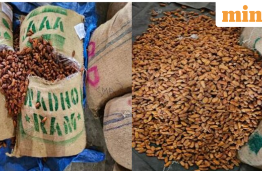 Operation Deep Manifest: DRI seizes 362 metric tonnes of Pakistan-origin dry dates in Nashik routed via UAE