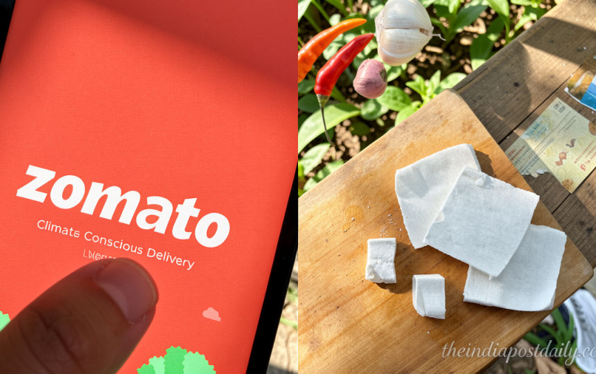 Why Zomato banned analogue paneer? What it is and how it harms even your healthy body | Explained