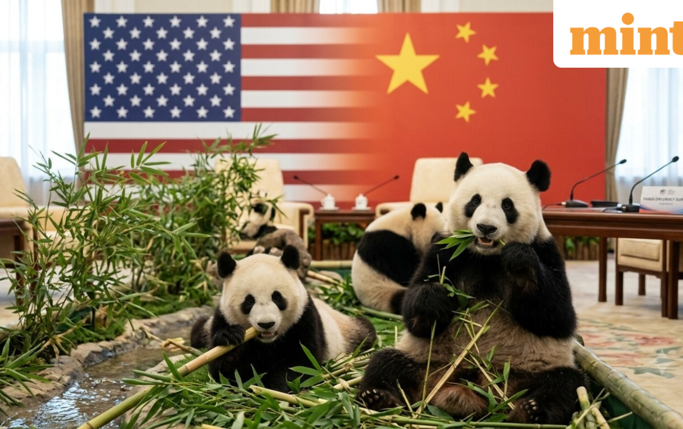 Giant pandas arrive in US after Trump-Xi summit: What is China’s ‘panda diplomacy’?
